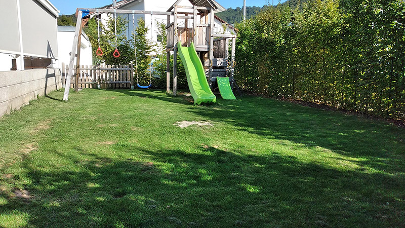 Sonnenkäfernest